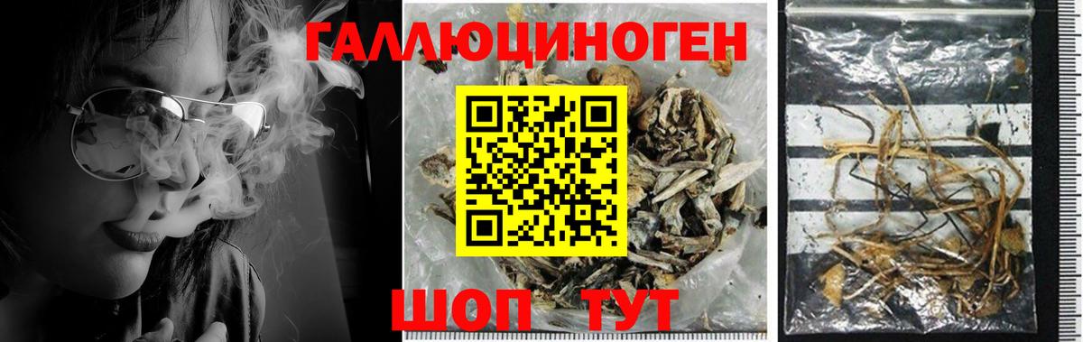 Псилоцибиновые грибы Cubensis  Вход с VPN  Полысаево  Псилоцибиновые грибы Magic Shrooms 